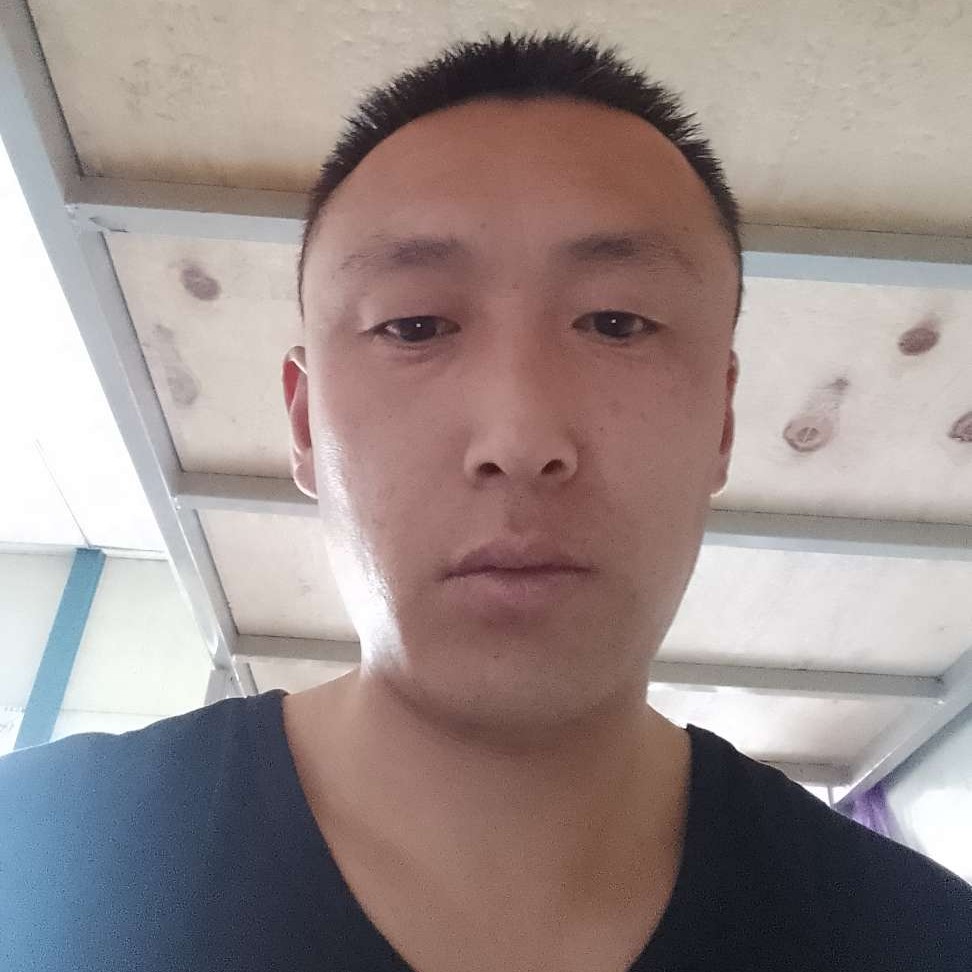刺猬扯过时的照片