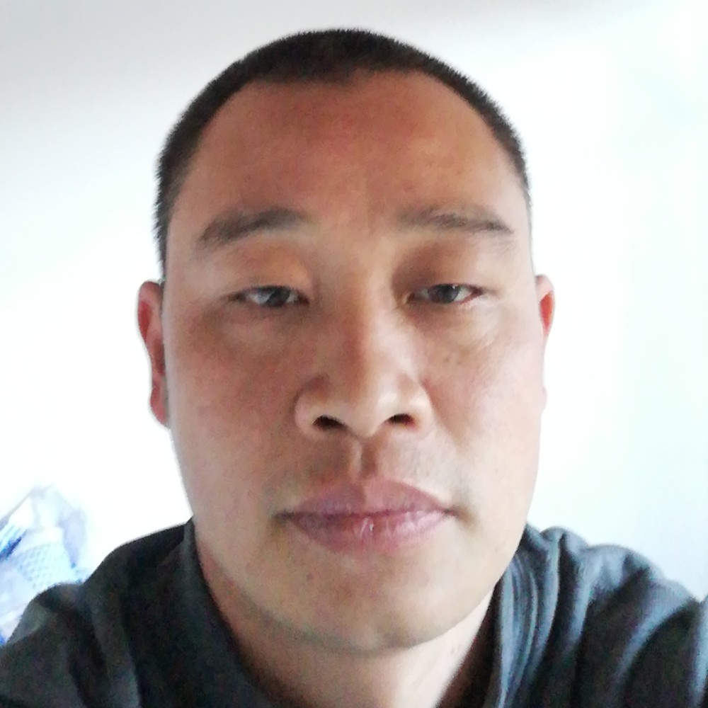 有魅力蚂蚁的照片