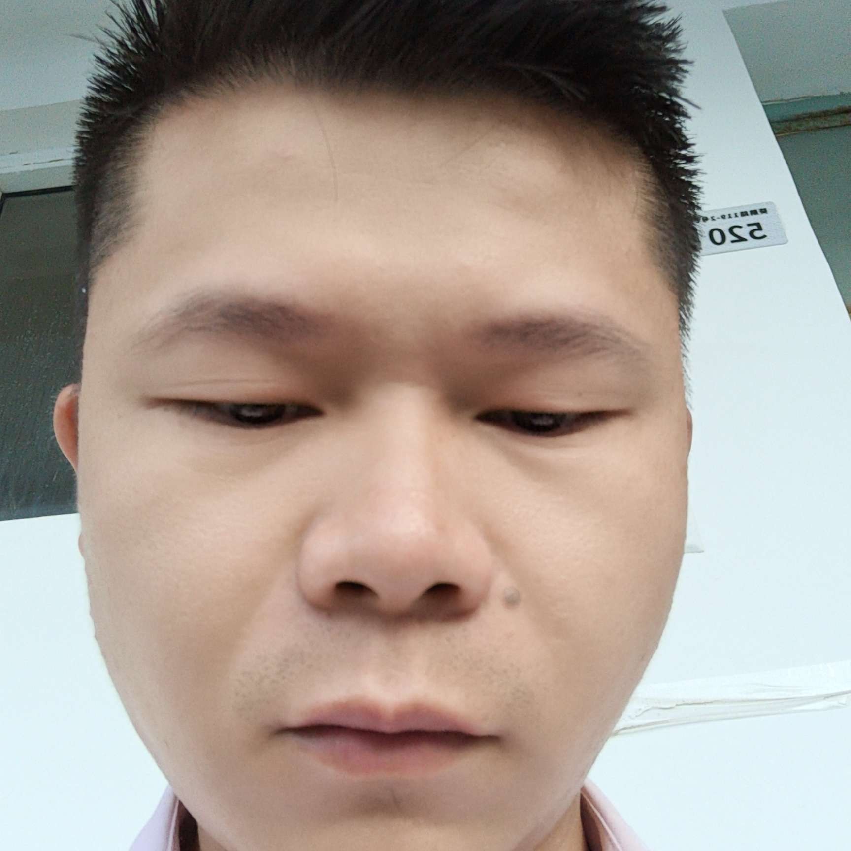闪闪拿仙人掌的照片