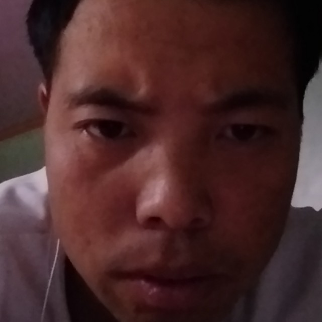 猎豹稳重的照片