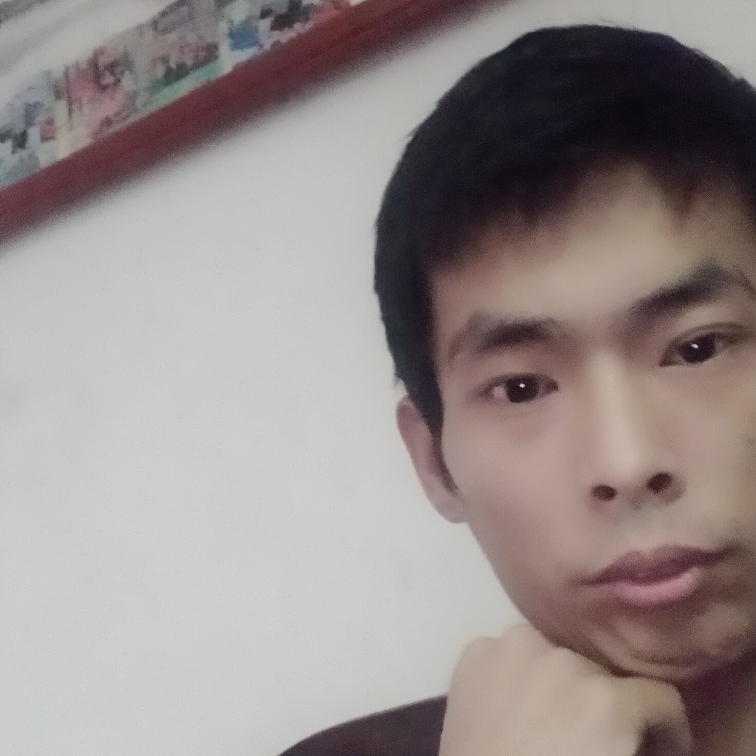 霸气凝眸蘩藜的照片