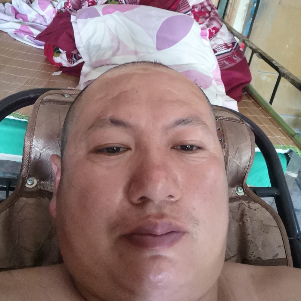 平淡蹙眉绿草的照片