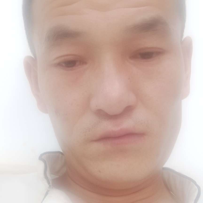 好日子去哪里了的照片