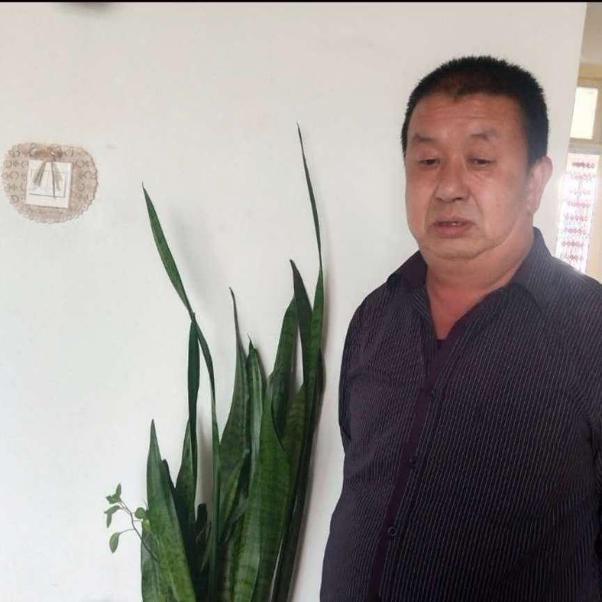 自信方鸡翅505的照片