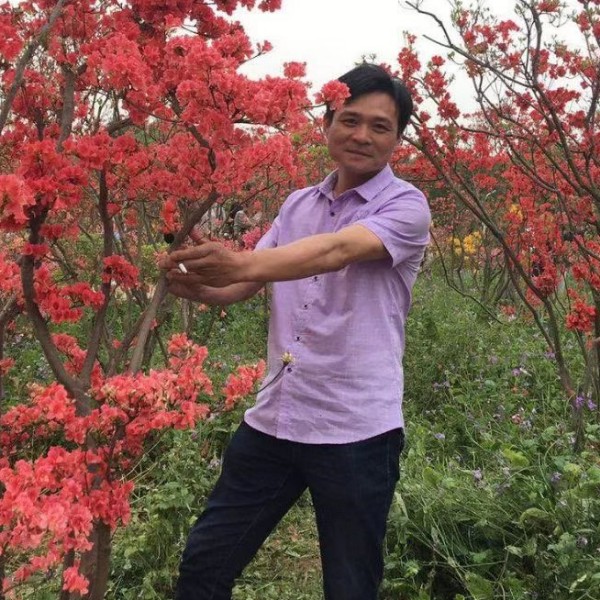 kk科的照片