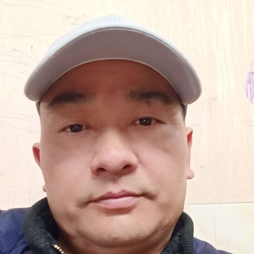 简单停止小懒虫的照片