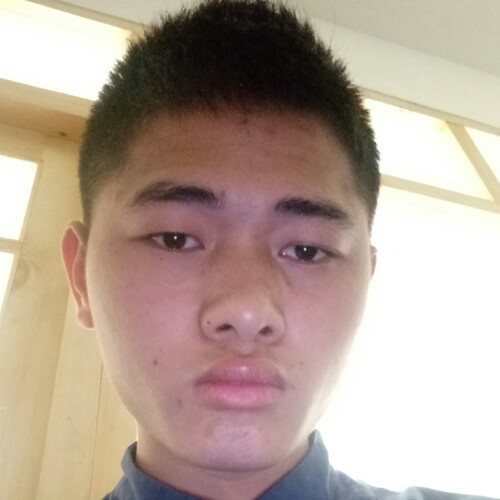 金鹰世界的照片