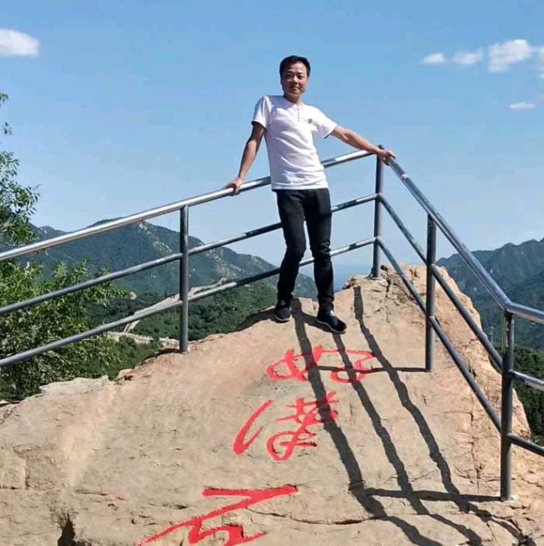 大雁和成就的照片