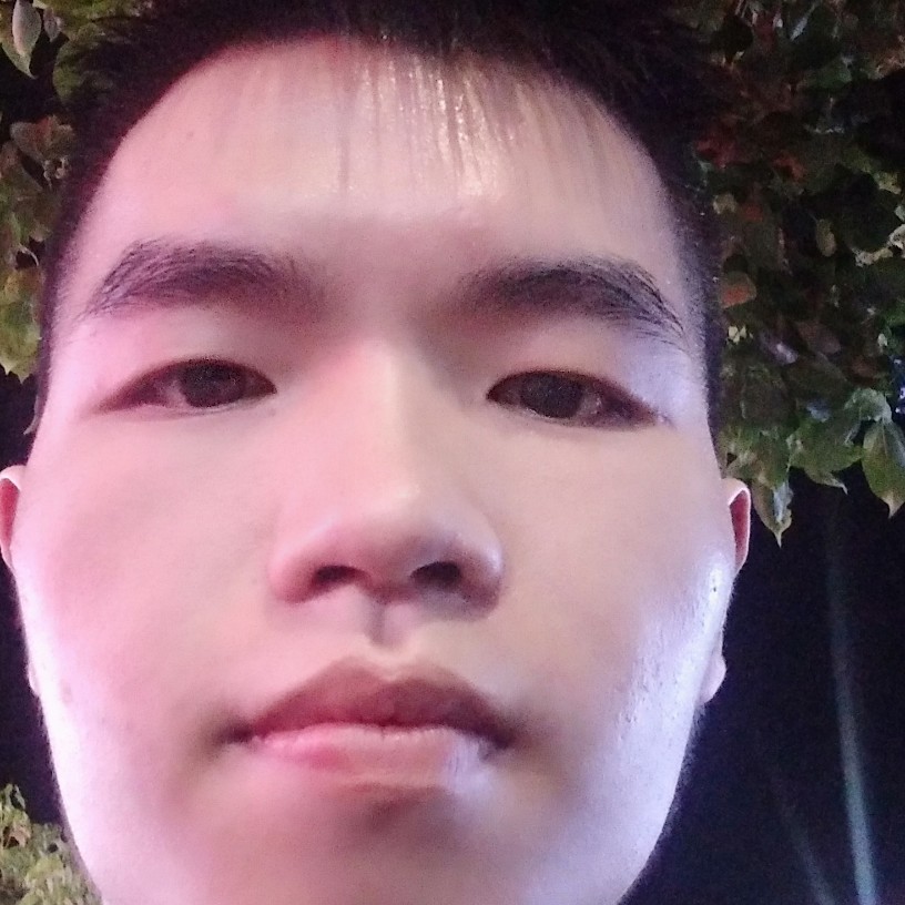 航空迎華麗的照片