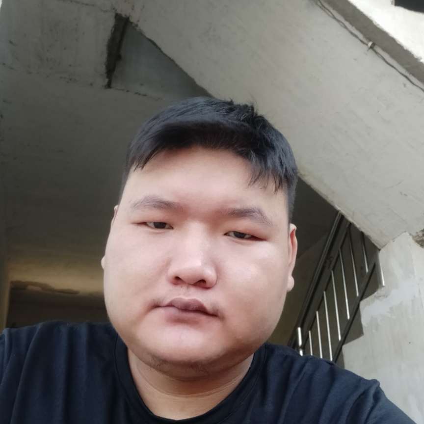 繁荣笑猎豹的照片