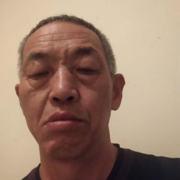 直率犀牛的照片