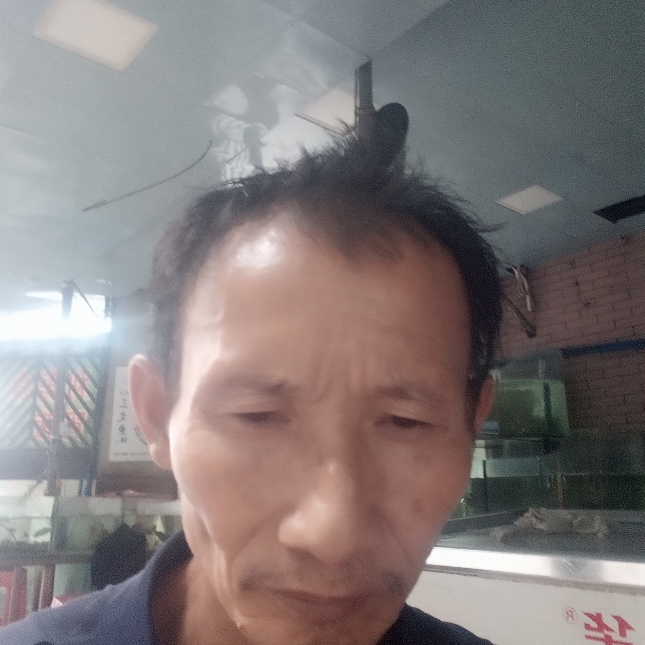 活泼爱恋摩托的照片