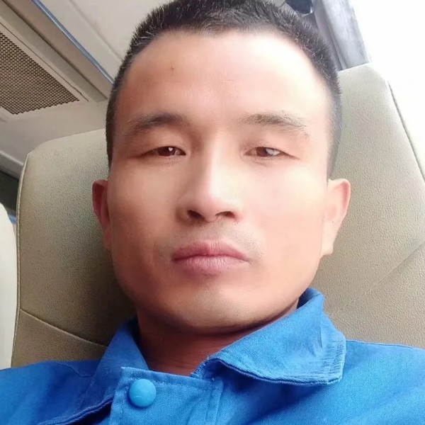 小鸽子愿潇洒的照片
