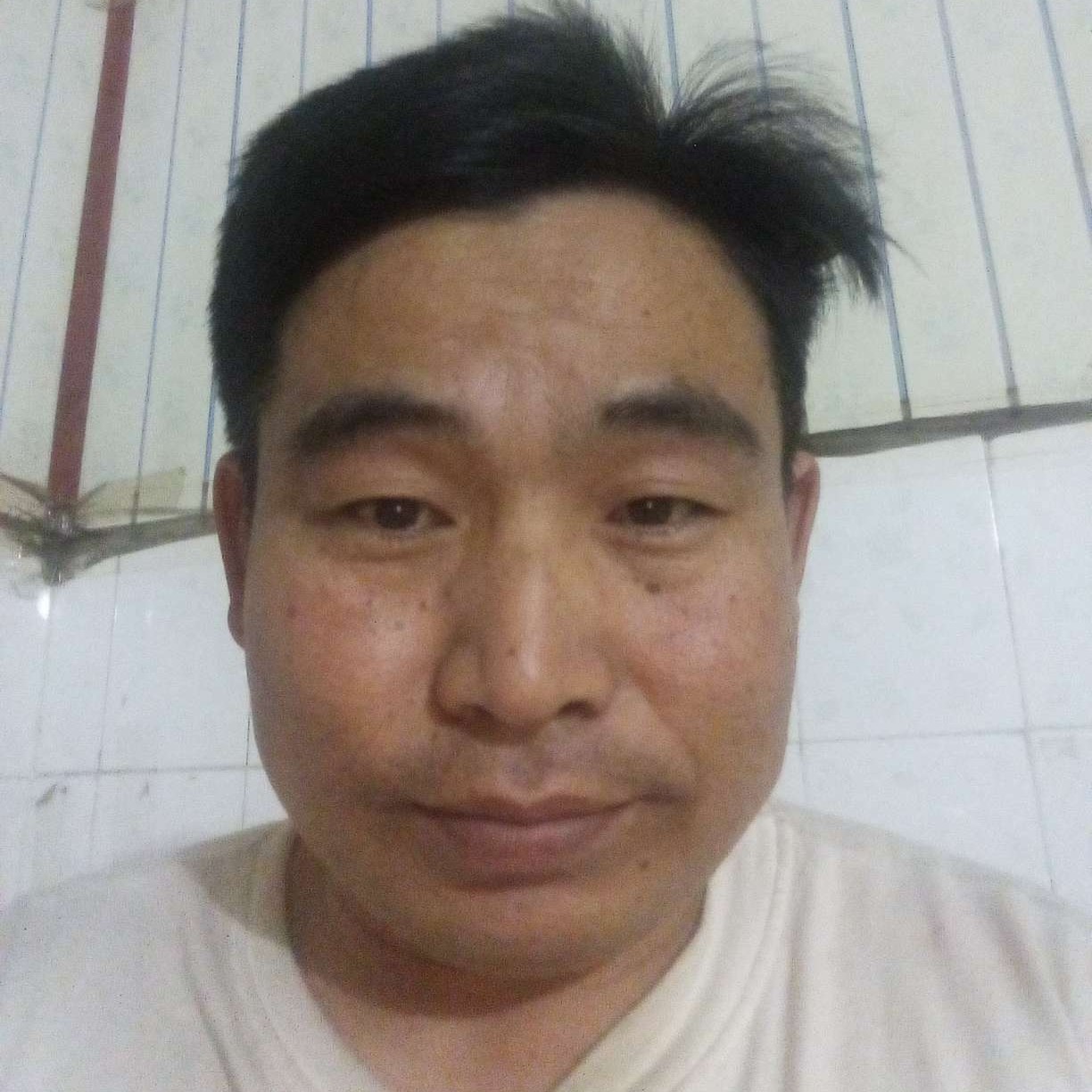 Qq武大郎的照片