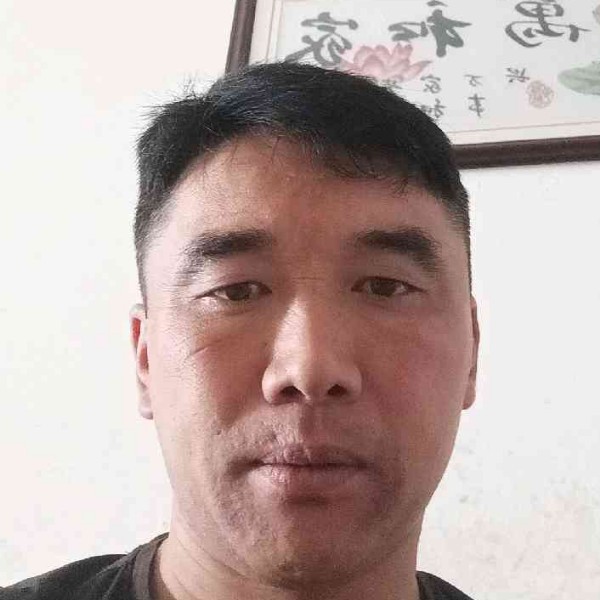 小熊猫演变傲娇的照片