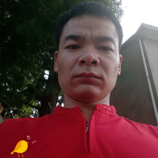 与你结合的照片