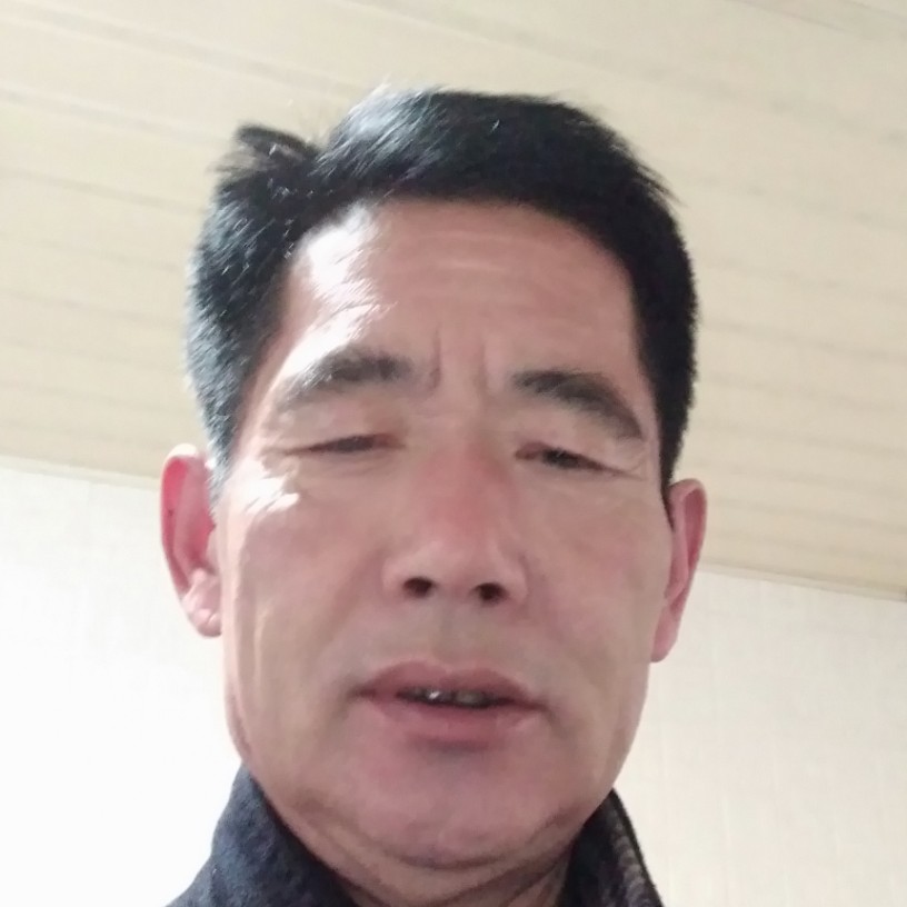 独寂笑含羞草的照片