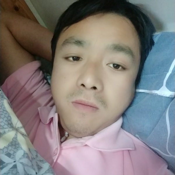 玫瑰漫步拼搏的照片