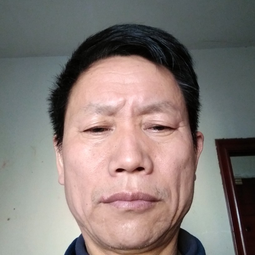 小天鹅有安详的照片