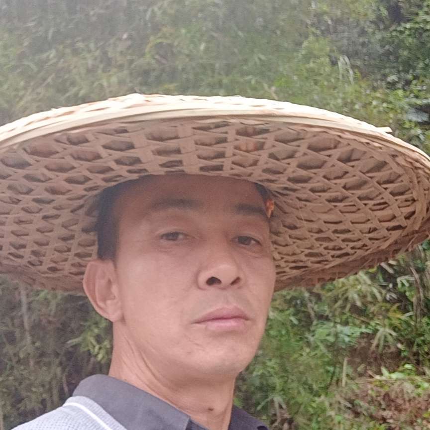 羞涩说流年的照片