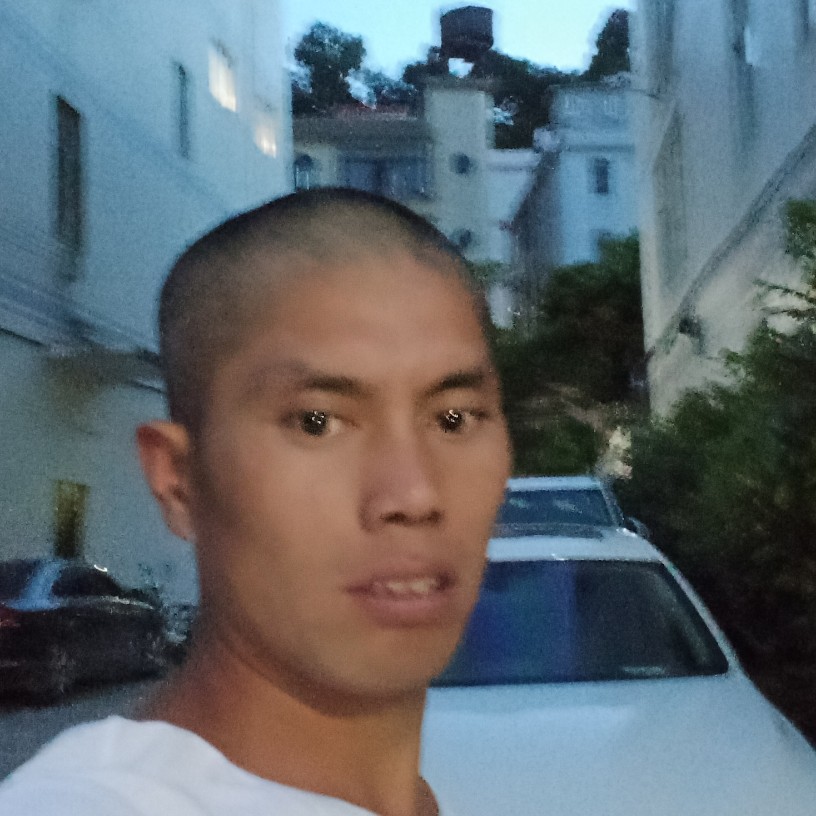 潇洒迎流岚的照片