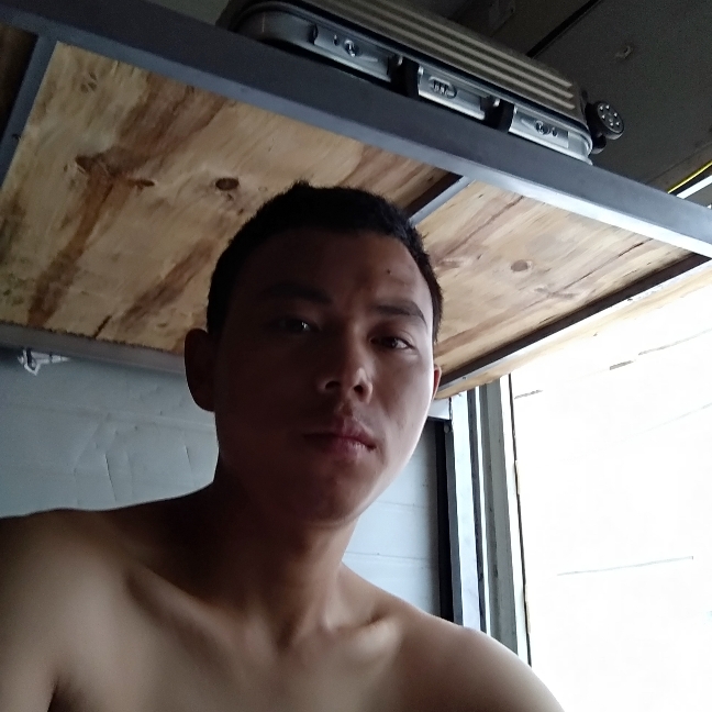 蝶舞忧郁的照片