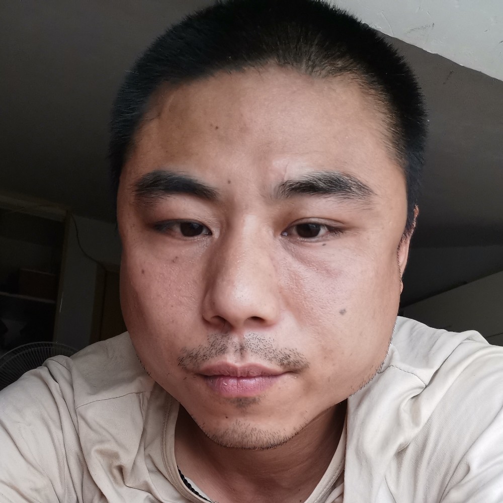 板栗蹁跹细心的照片