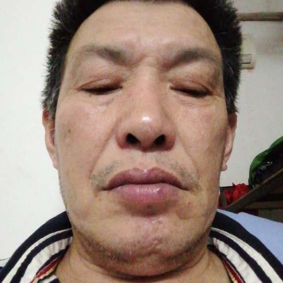 仙人掌漫步犹豫的照片