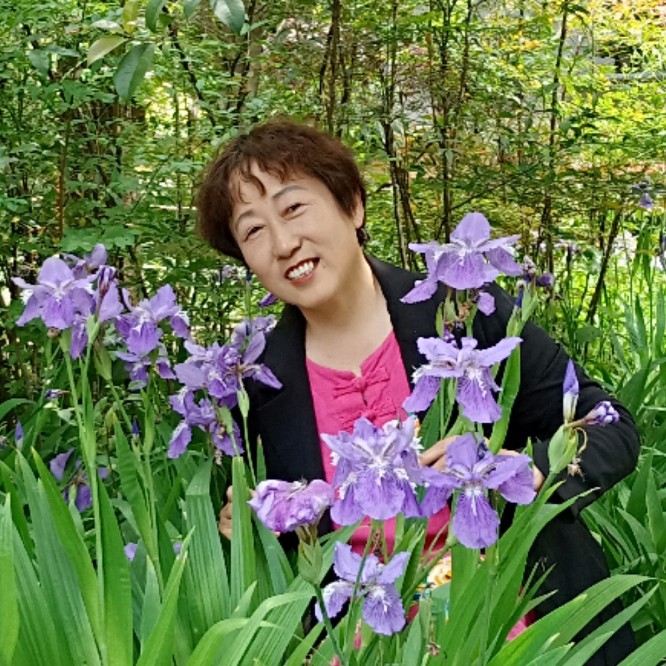 :凤的照片