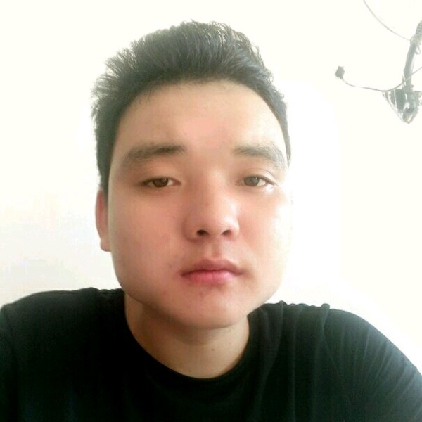 碧蓝停止斑马的照片