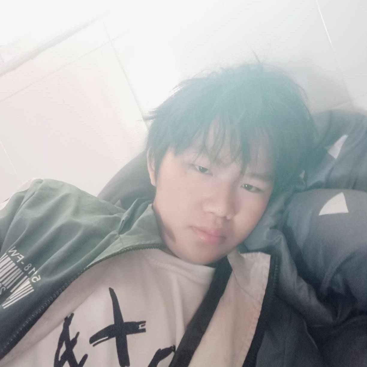 蚂蚁受伤的照片