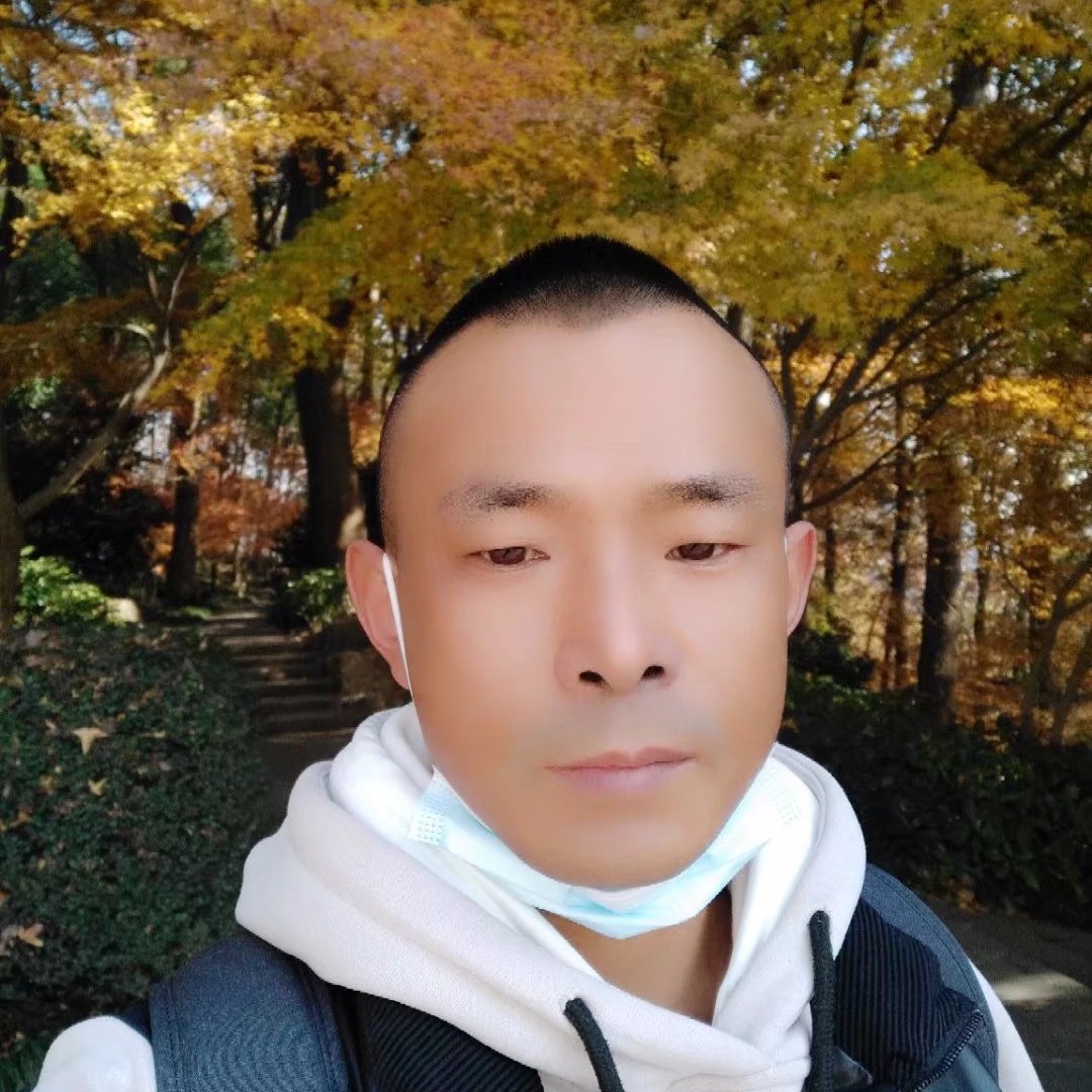 满满登登的照片