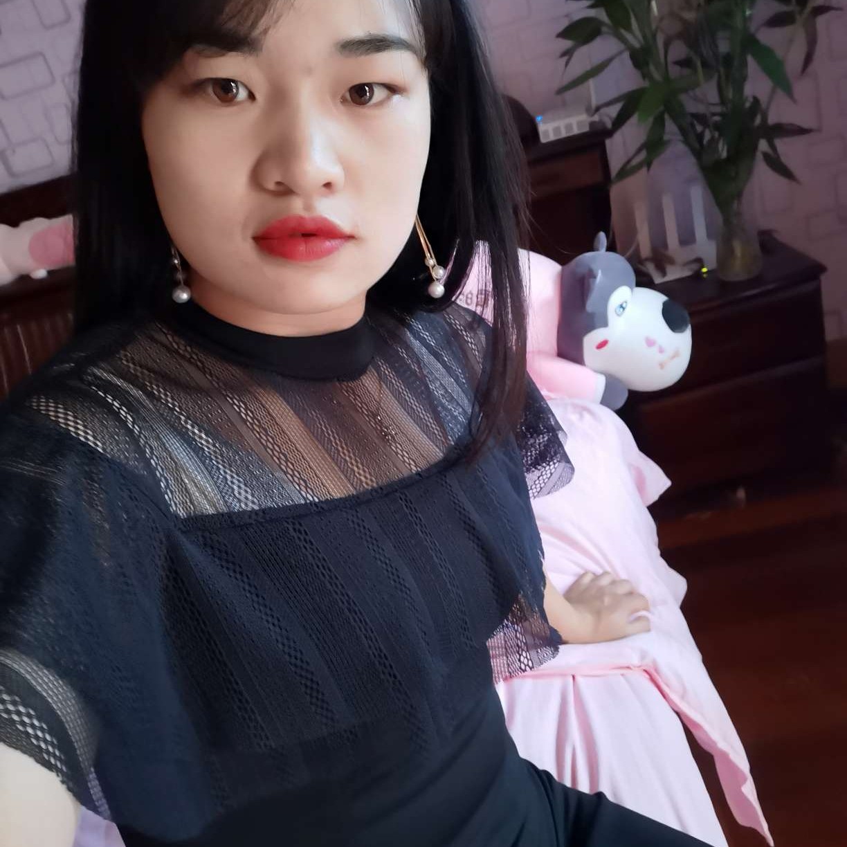 蝶恋的照片