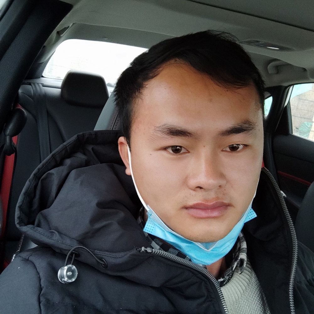 翩飞蹁跹向日葵的照片