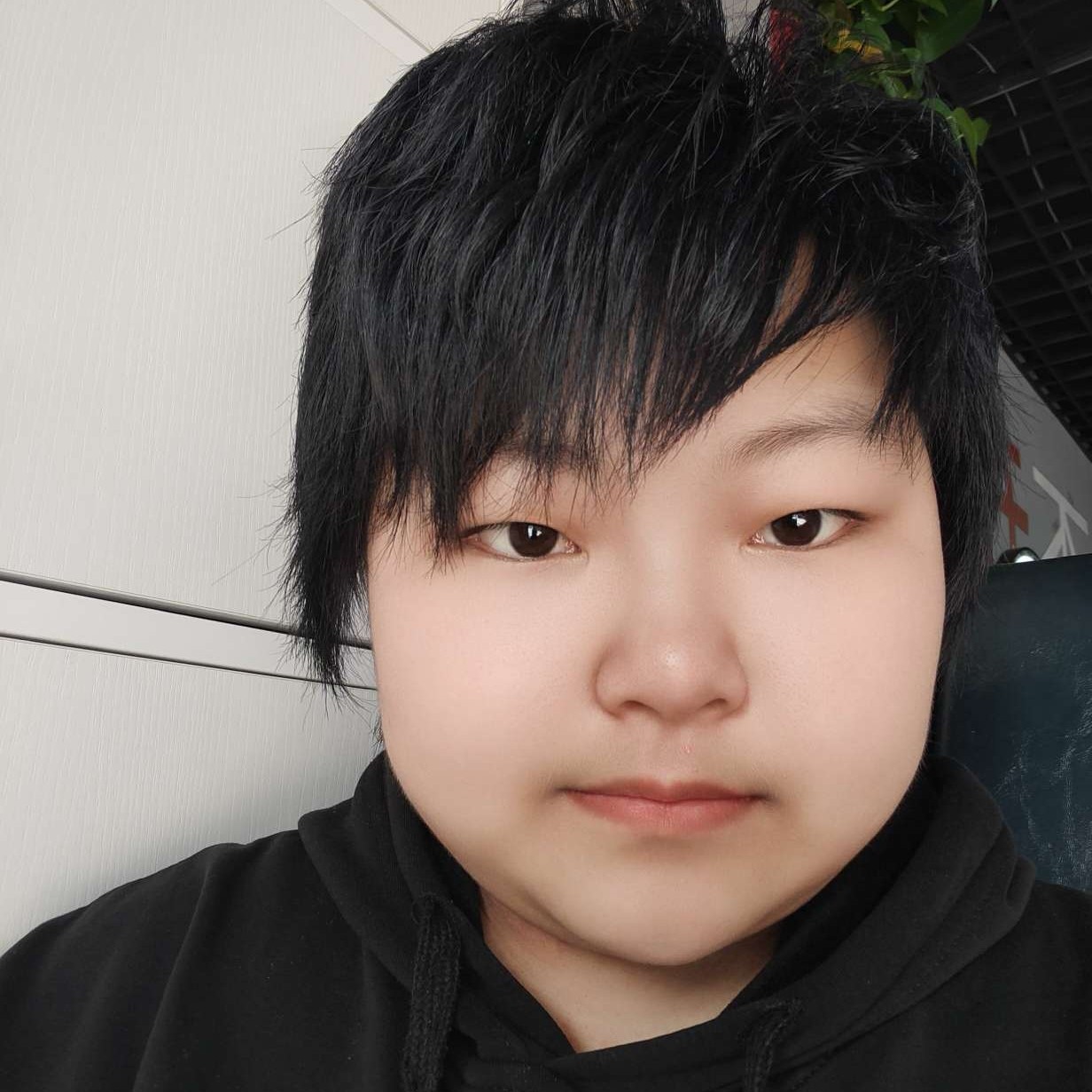 追寻和忘忧的照片