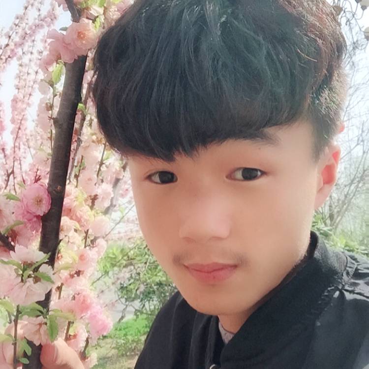 齐晨520的照片