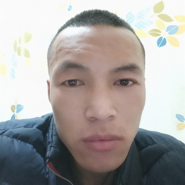 呆萌和小土豆的照片