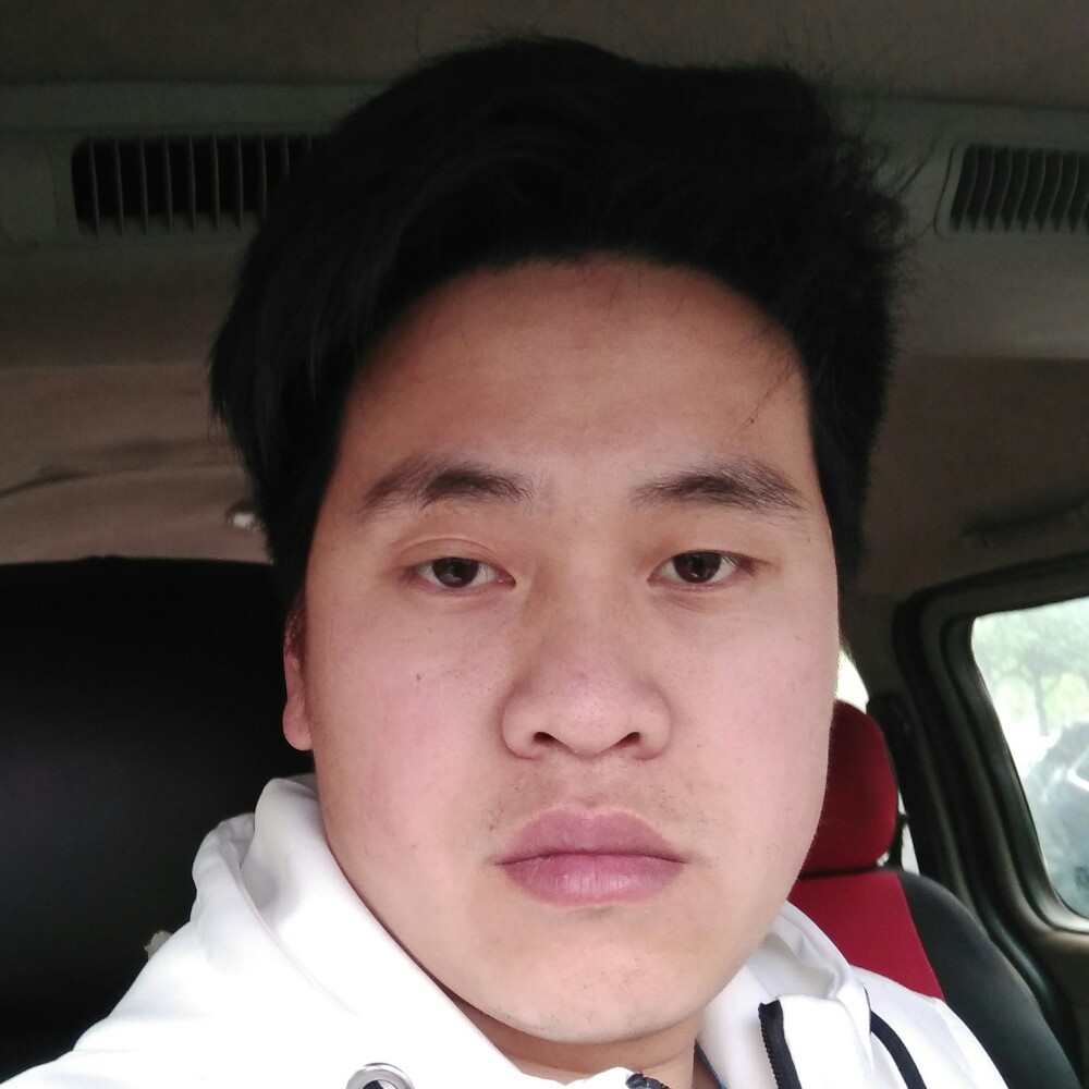 直率的飞鸟的照片