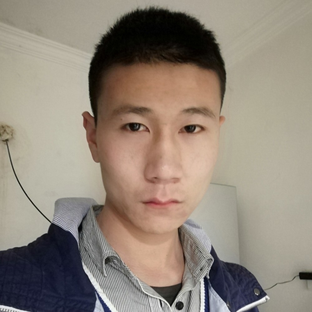 英俊小海豚nu的照片