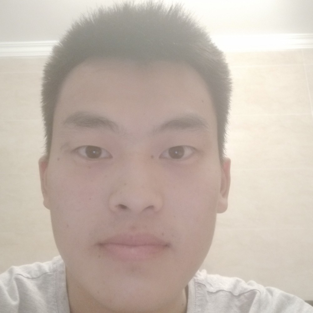 刺猬激动的照片
