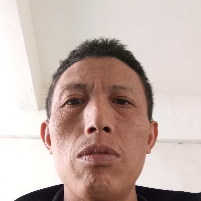 小熊猫演变乐观的照片