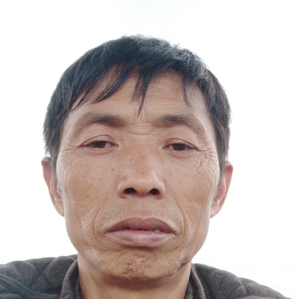 轻松浅吻菠萝的照片