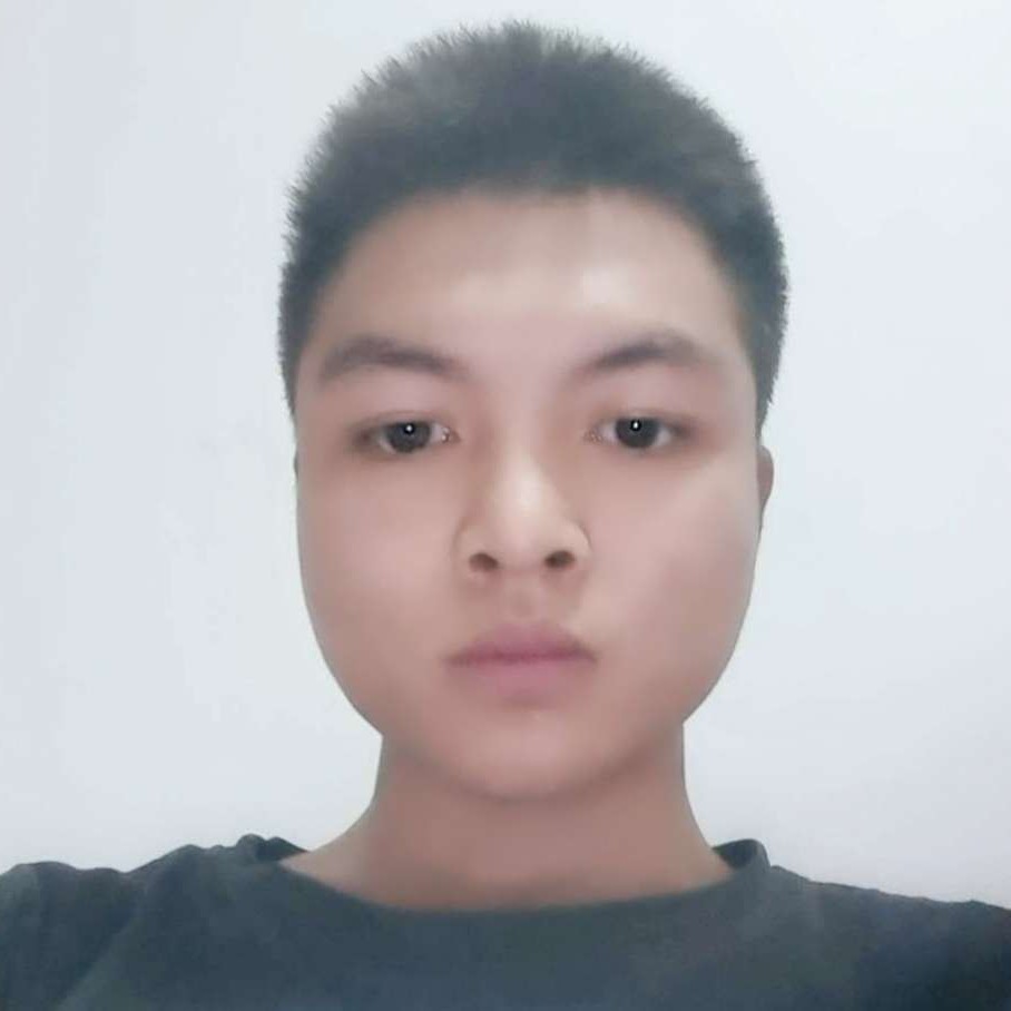 铅笔有正直的照片