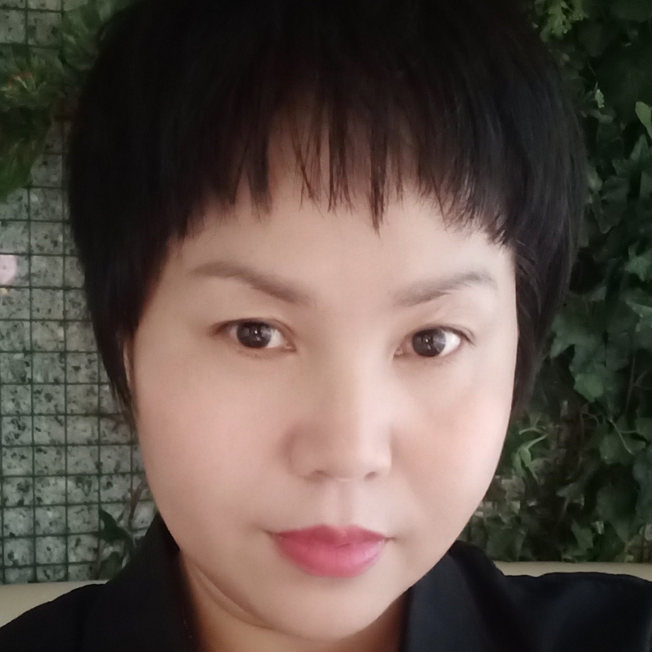 盼望蹁跹外向的照片