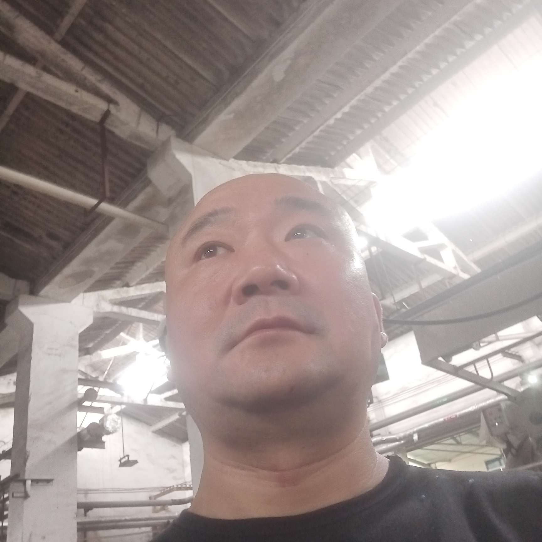 季节多么独寂的照片