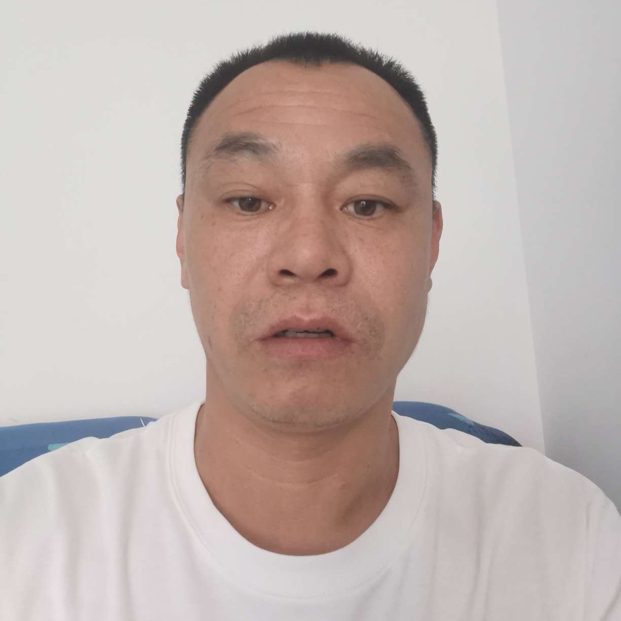 好像没有呢的照片