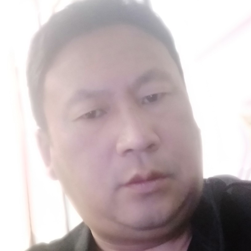 老野牛的照片