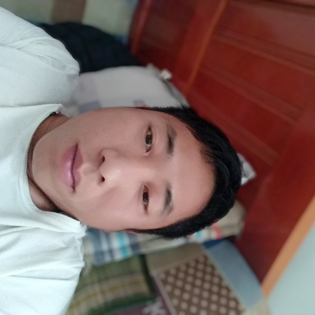 怕孤单爱含羞草的照片