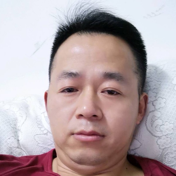 寂莫的熊的照片