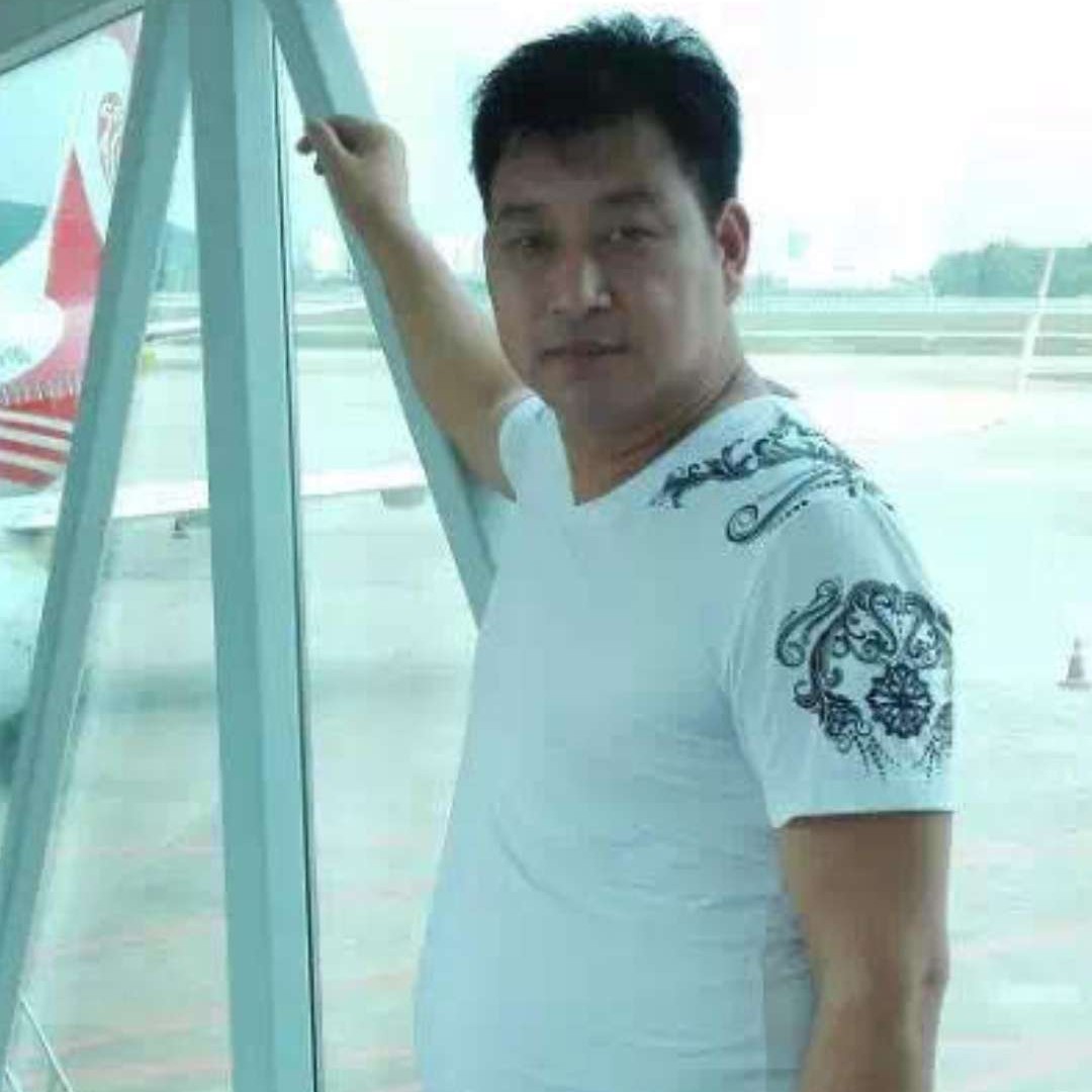 小懒虫演变舒心的照片
